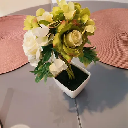 Dine * 두브로브니크